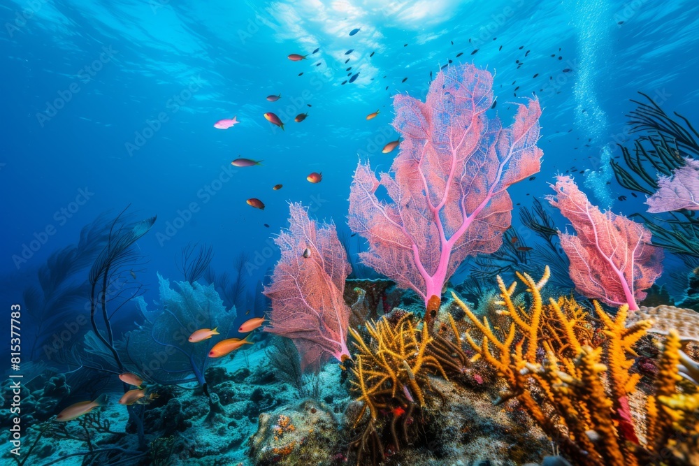 Naklejka premium A peaceful underwater sanctuary with vibrant coral formations and swaying sea fans
