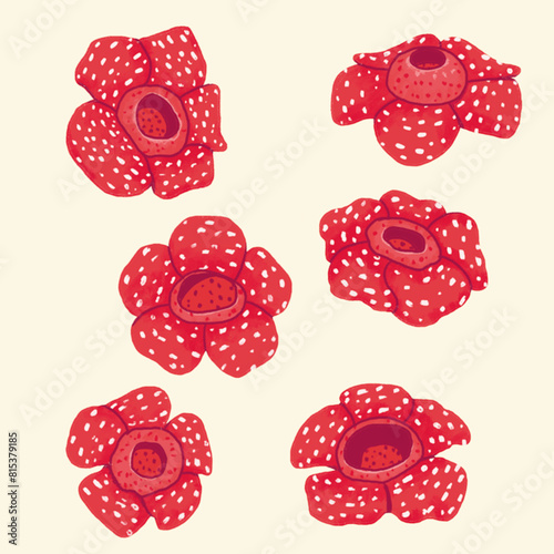 rafflesia arnoldi red flower art painting style