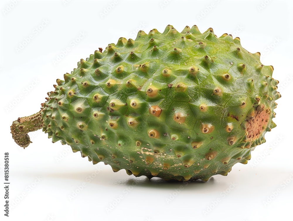 soursop on isotate white back background soursop on isotate white back background