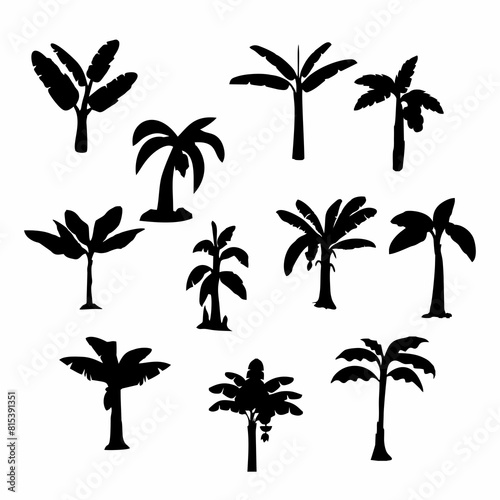 black silhouette or illustration of a banana tree
