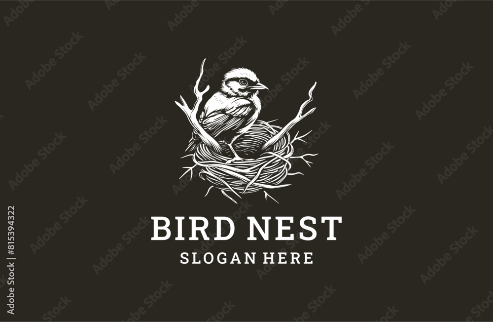 Bird nest logo template vector illustration design