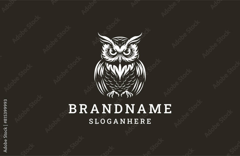 Obraz premium Owl logo template vector illustration design
