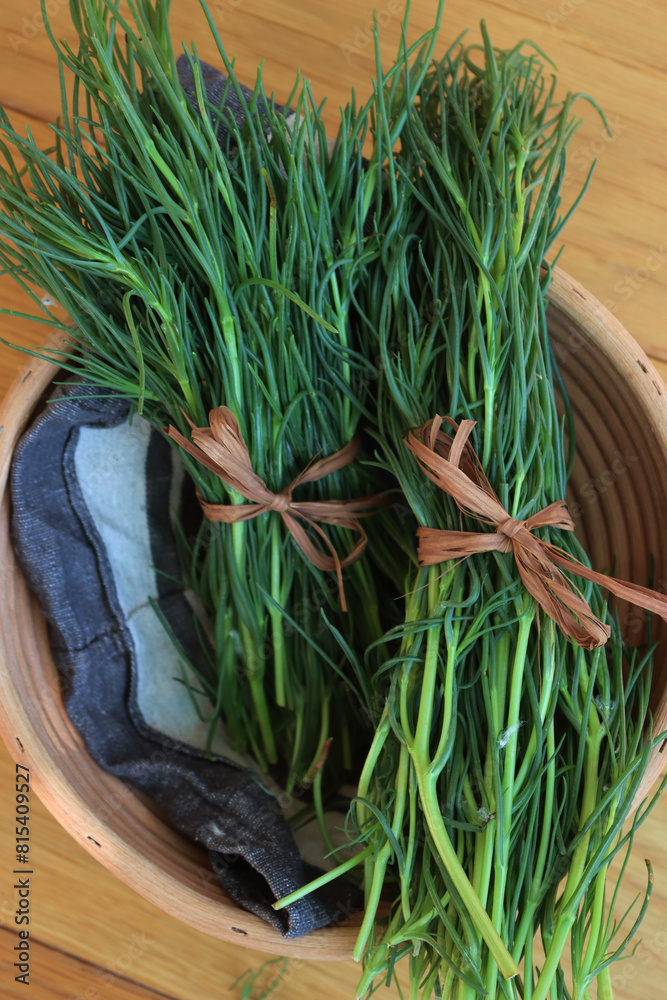 Bunch of fresh Salsola soda in a basket on wooden table. Italian Barba di frate or Agretti or Saltwort on wooden background