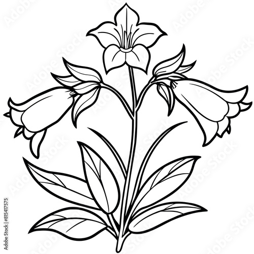 Canterbury Bells flower outline illustration coloring book page design, Canterbury Bells flower black and white line art drawing coloring book pages for children and adults 