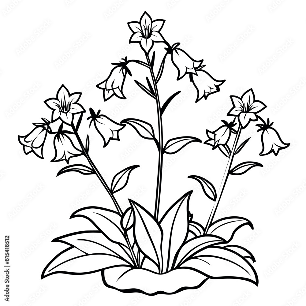 Naklejka premium Canterbury Bells flower outline illustration coloring book page design, Canterbury Bells flower black and white line art drawing coloring book pages for children and adults 