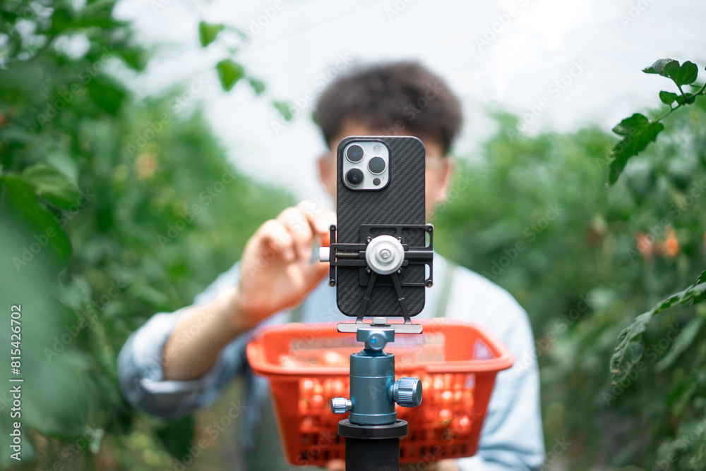 people using mobile phone in vegetable garden people using mobile phone in vegetable garden