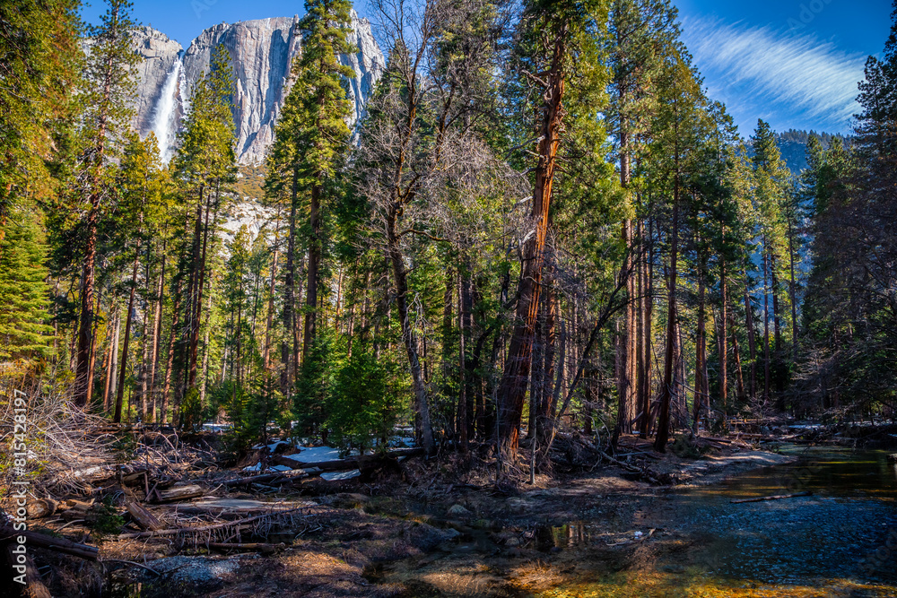 View through the Forest of Yosemite Falls in Winter, Yosemite National Park, California View through the Forest of Yosemite Falls in Winter, Yosemite National Park, California