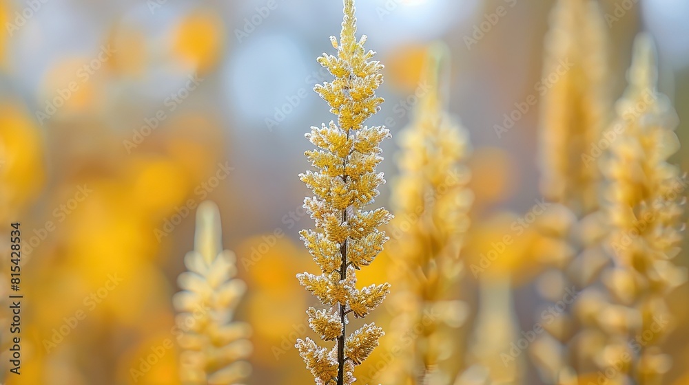 Beautiful Display of Golden Sunflowers in Bloom Beautiful Display of Golden Sunflowers in Bloom
