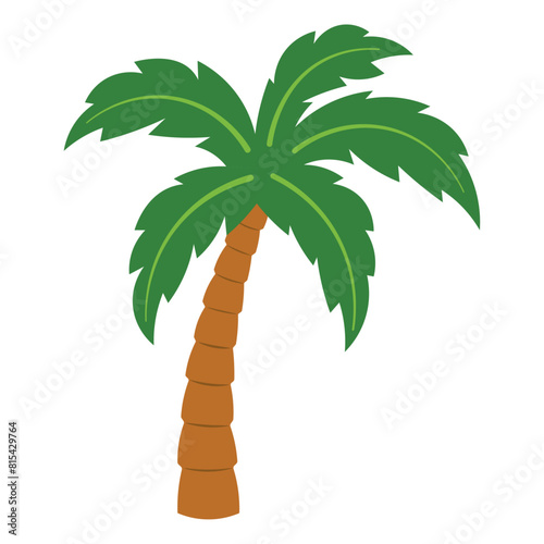 Palm Tree