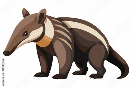 anteater cartoon vector illustration