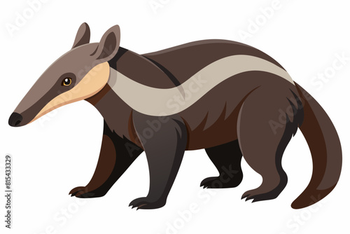 anteater cartoon vector illustration