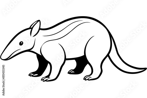 anteater line art silhouette illustration