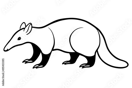 anteater line art silhouette illustration