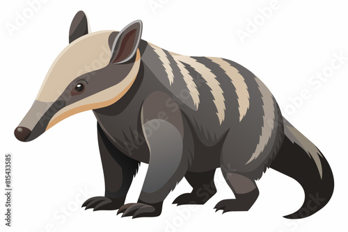 anteater cartoon vector illustration