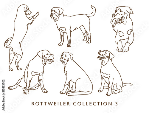 Rottweiler Dog Outline Illustrations in Various Poses - Collection 3 © Lexicon Creative
