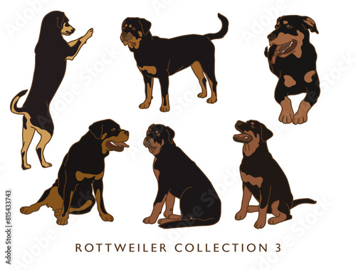 Rottweiler Dog Color Illustrations in Various Poses - Collection 3