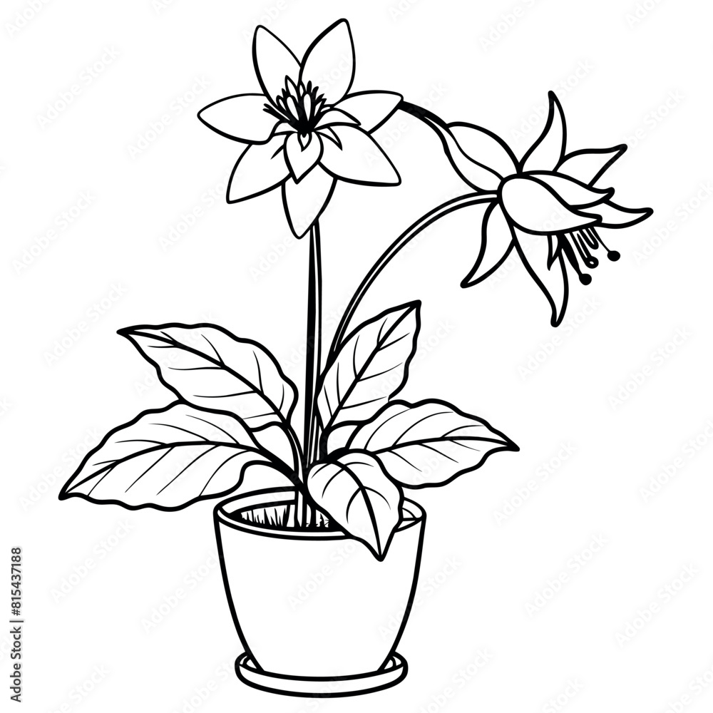 Columbine flower outline illustration coloring book page design