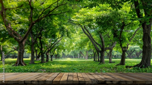  A middleged deck in a lush park, surrounded by trees and expanses of verdant grass on each side