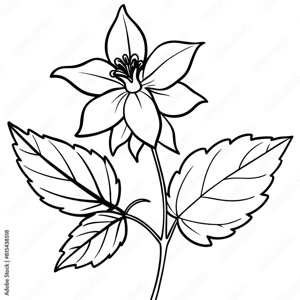 Columbine flower outline illustration coloring book page design ...