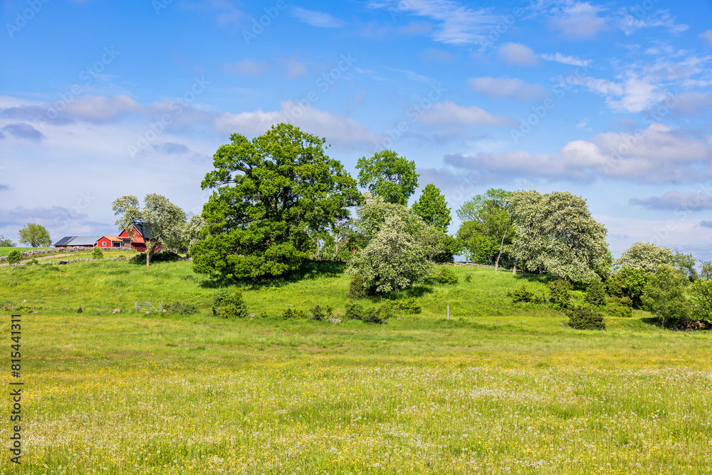 Idyllic landscape view of the countryside on a summer day Idyllic landscape view of the countryside on a summer day