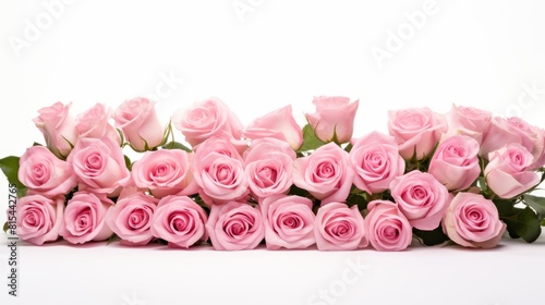 Bunch bouquet of pink roses isolated on white background panorama banner.