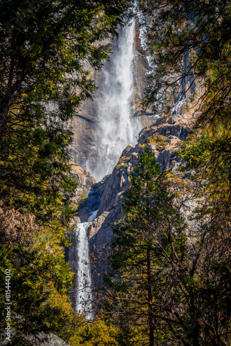 Yosemite Falls through the Trees  Yosemite National Park  California