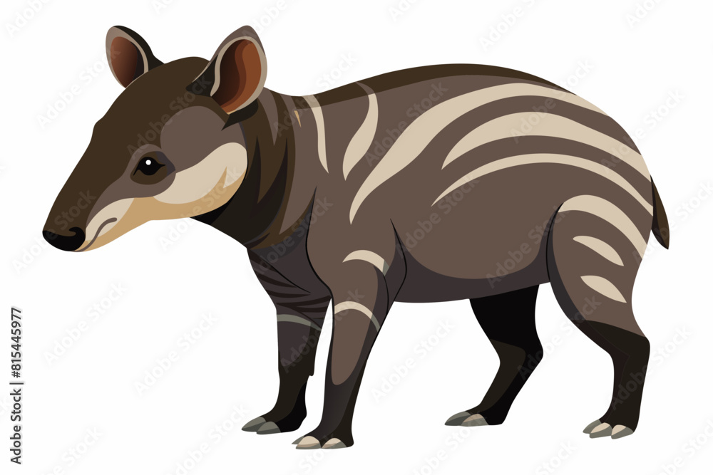 tapir cartoon vector illustration tapir cartoon vector illustration