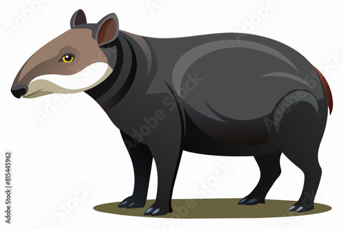 tapir cartoon vector illustration