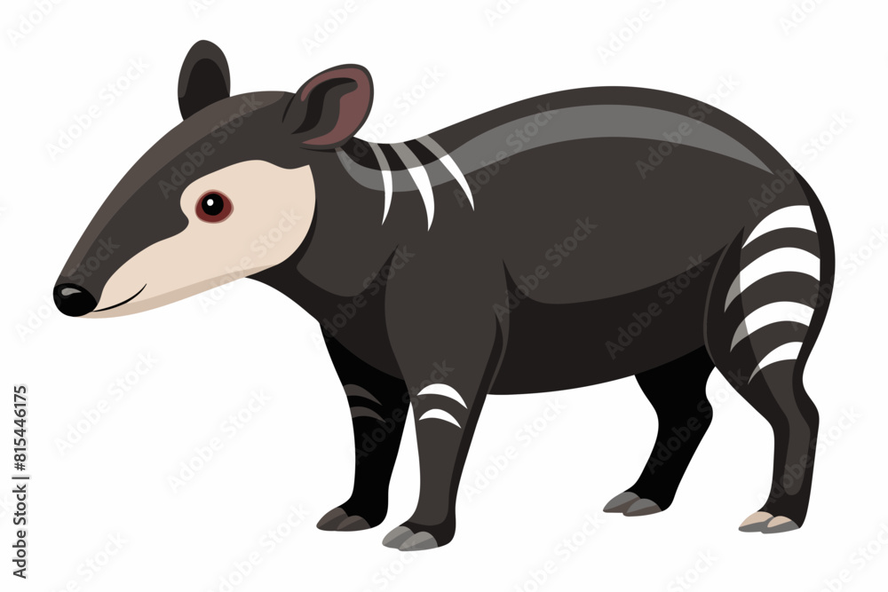 tapir cartoon vector illustration tapir cartoon vector illustration