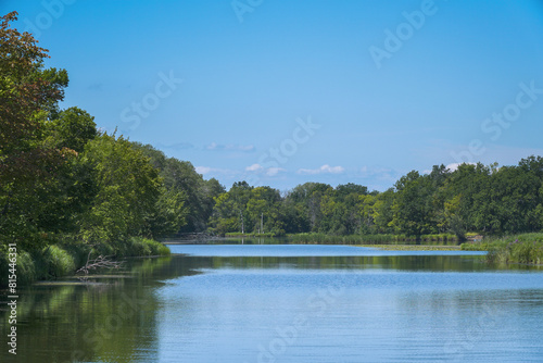 A green forest on the opposite shore of a lake or river