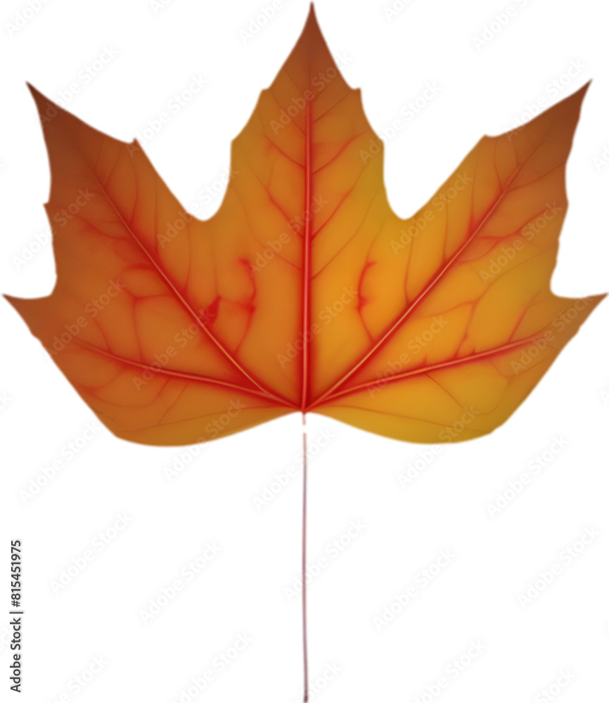 Obraz premium An image of a stylized leaf.