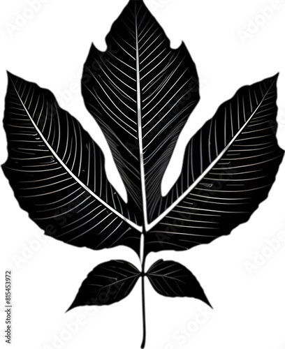 An image of a stylized leaf.