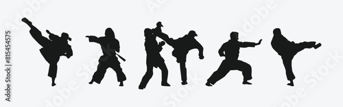 Set of silhouettes of karateka, male and female athletes. Martial arts, competition, fighting. Different pose, movement on isolated background. Vector illustration.