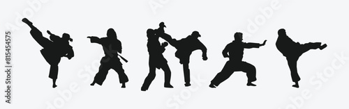 Set of silhouettes of karateka  male and female athletes. Martial arts  competition  fighting. Different pose  movement on isolated background. Vector illustration.