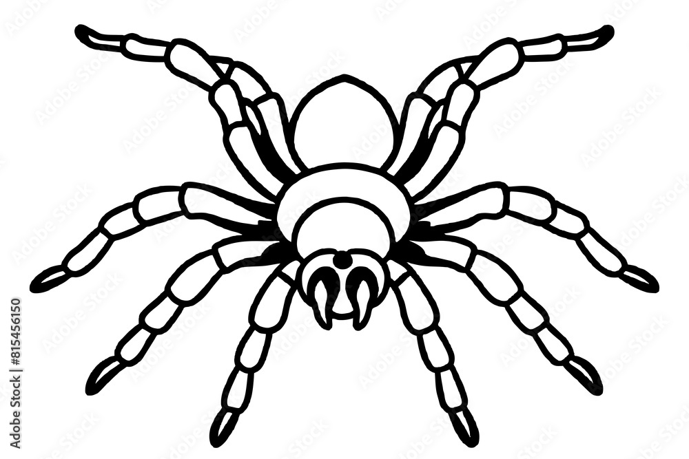 tarantula line art silhouette illustration tarantula line art silhouette illustration
