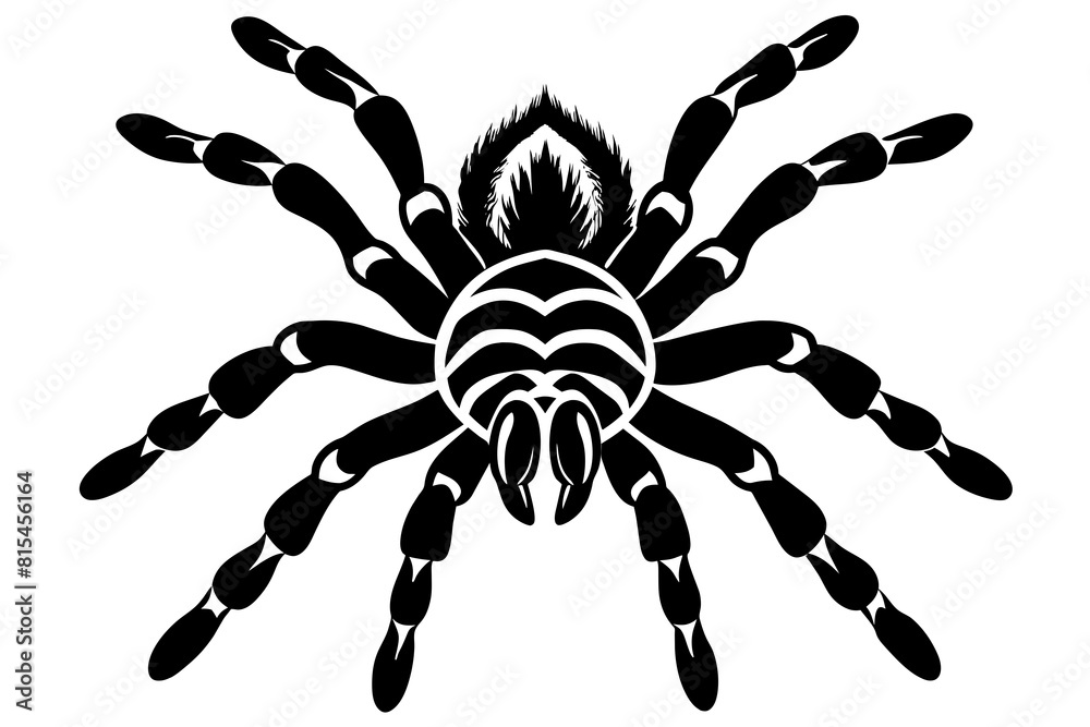 tarantula line art silhouette illustration tarantula line art silhouette illustration