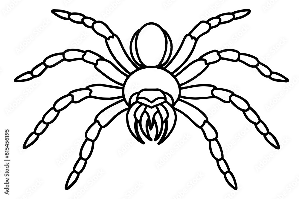 tarantula line art silhouette illustration tarantula line art silhouette illustration