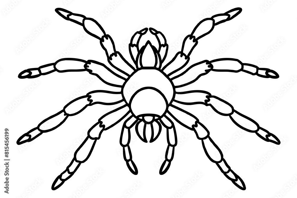 tarantula line art silhouette illustration tarantula line art silhouette illustration
