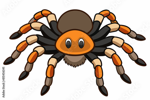 tarantula cartoon vector illustration