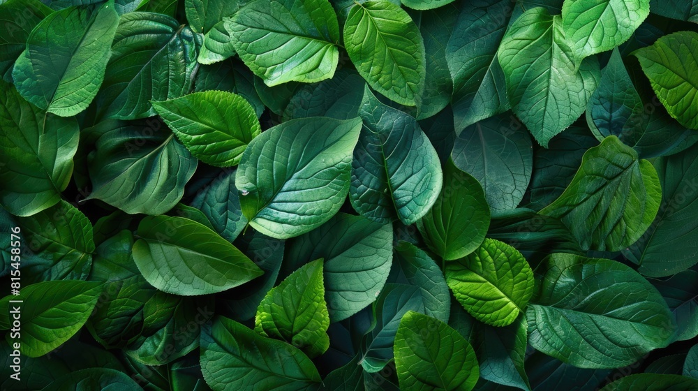 Eco friendly design concept set against a backdrop of vibrant green leaves