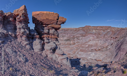 Crystal Mesa Summit View in Petrified Forest AZ