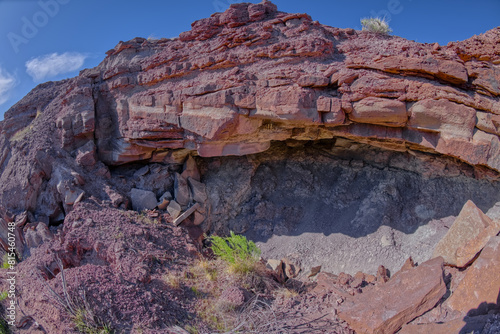 Crystal Mesa cliff cave in Petrified Forest AZ