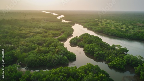 Gambia Mangroves Aerial view of mangrove forest in Gambia Photo made by drone from above Africa Natural Landscape : Generative AI