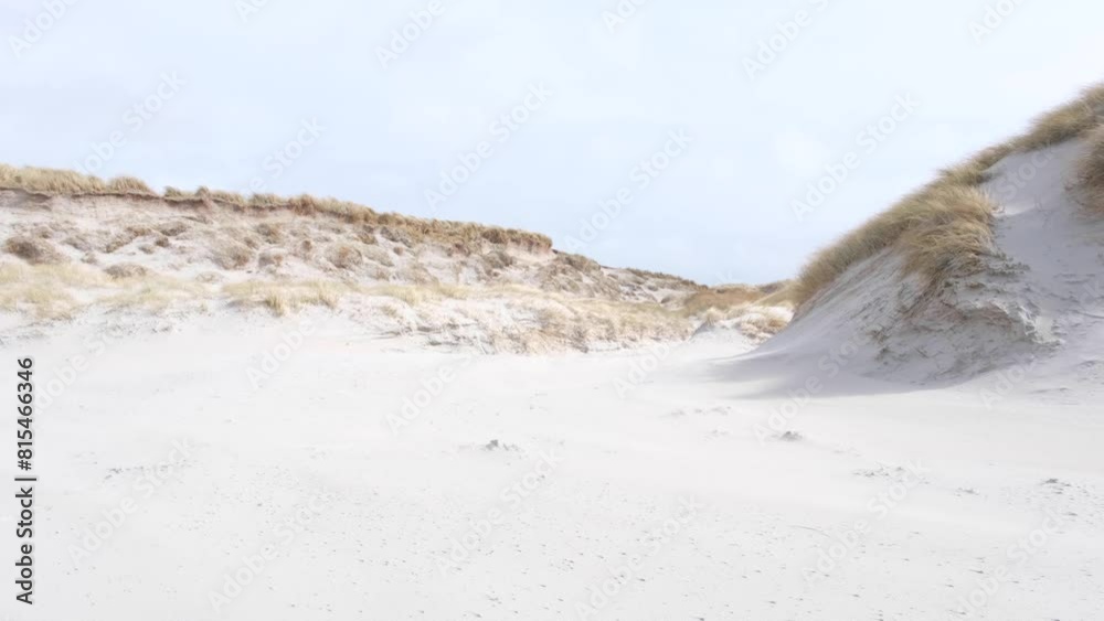 Large sand dunes covered with turfs of marram grasses blowing in the wind during wild windy weather in Berneray, Outer Hebrides of Western Scotland UK Large sand dunes covered with turfs of marram grasses blowing in the wind during wild windy weather in Berneray, Outer Hebrides of Western Scotland UK