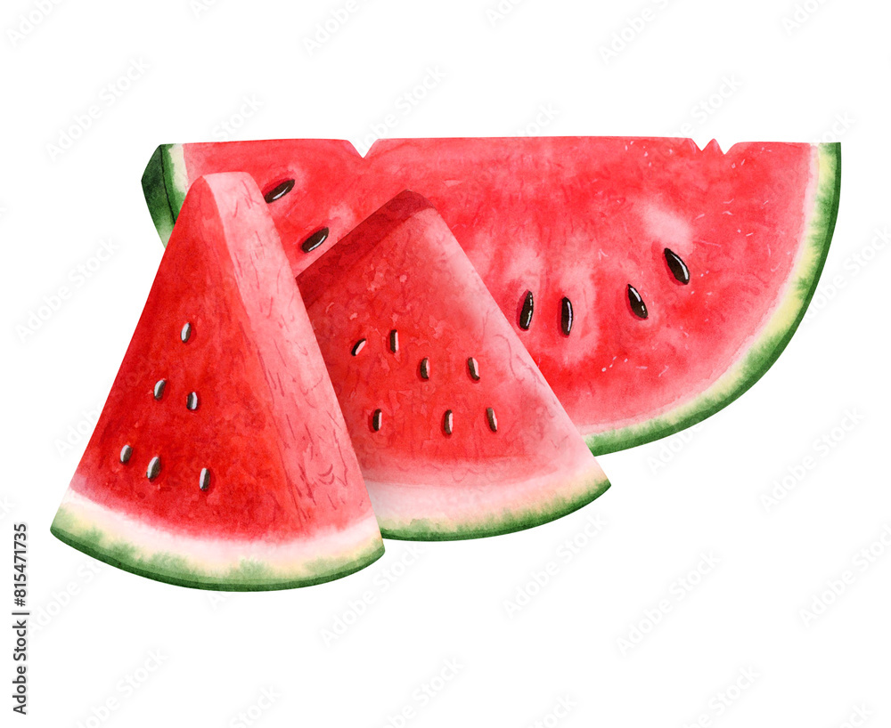 Ripe watermelon slices of triangle and half round shape with seeds watercolor illustration isolated on white. Delicious organic food in realistic style for summer natural fruit dessert Ripe watermelon slices of triangle and half round shape with seeds watercolor illustration isolated on white. Delicious organic food in realistic style for summer natural fruit dessert