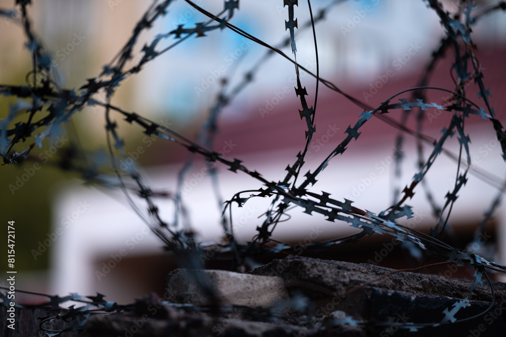 Poster Print Barbed wire. Barbed wire on a fence as a background 40x26.7 cm