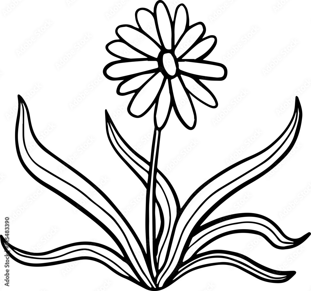 hand drawn side view of tree drawing.