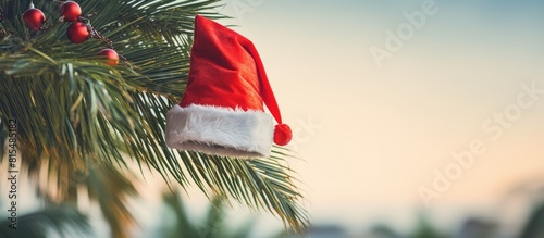 Christmas themed Santa s hat hanging on a palm tree creating a unique holiday atmosphere at the resort Copy space image photo