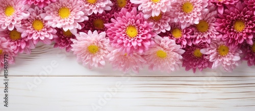 Top view of a pattern of pink chrysanthemum flowers with yellow pollen elegantly arranged on a white wooden background Ideal for copy space image