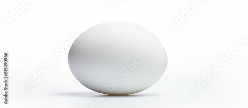 A white egg with shadow isolated on a white background in a close up copy space image